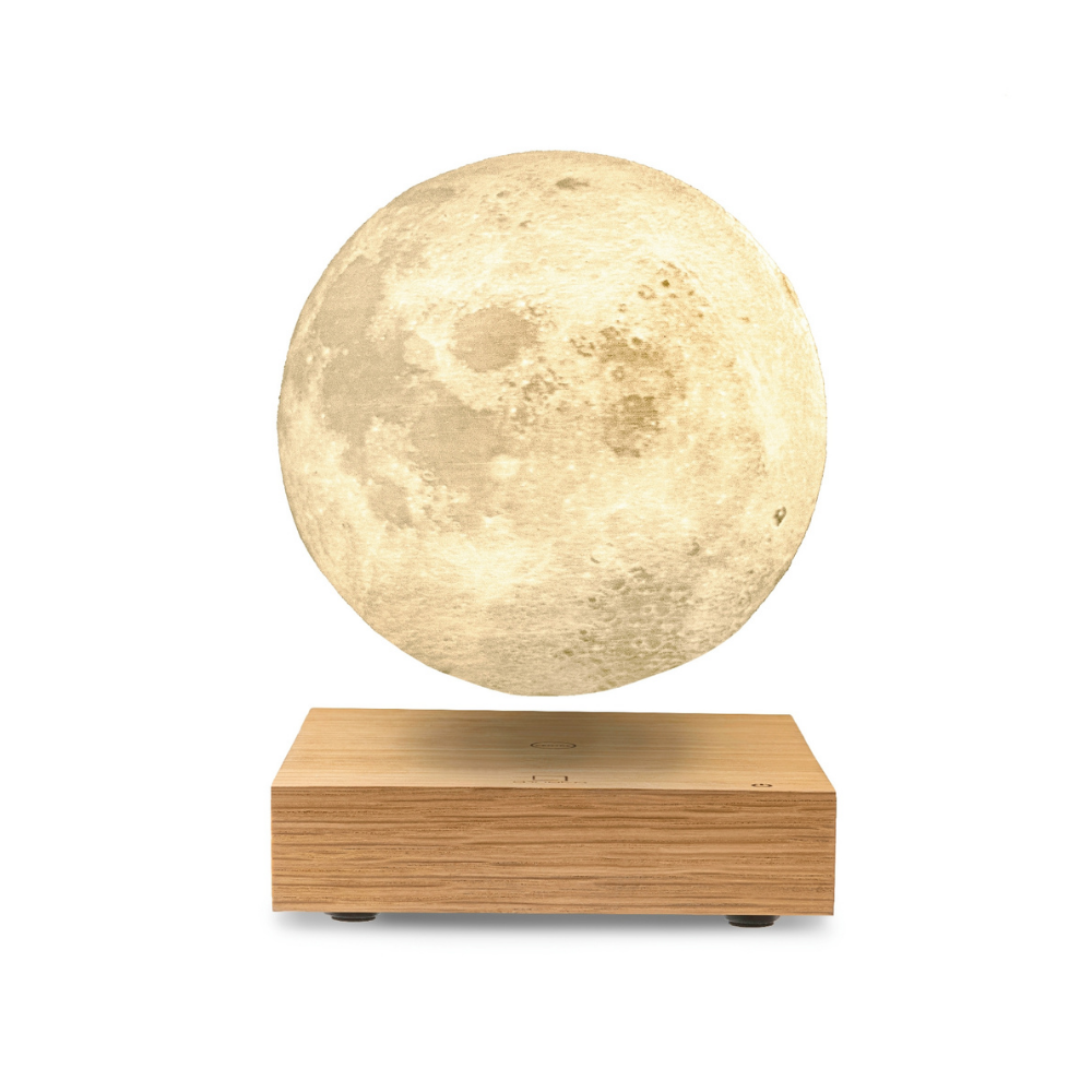 GINGKO SMART MOON LAMP - Hunt & Gather Home