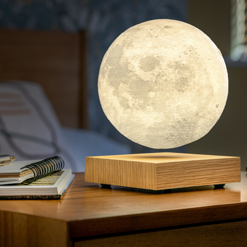 GINGKO SMART MOON LAMP - Hunt & Gather Home